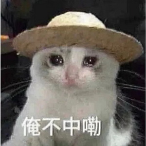 俺不中了表情符号动图GIF