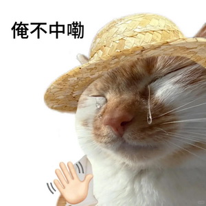 俺不中嘞表情包大全GIF