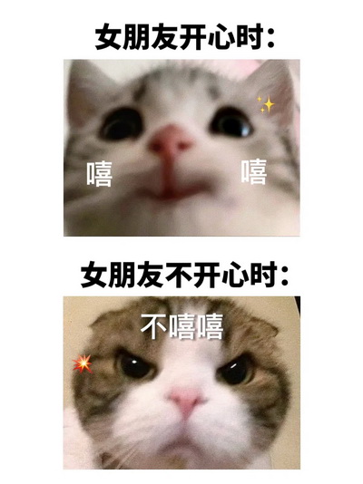 女朋友嘻嘻不嘻嘻表情包