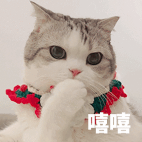 嘻嘻微信表情