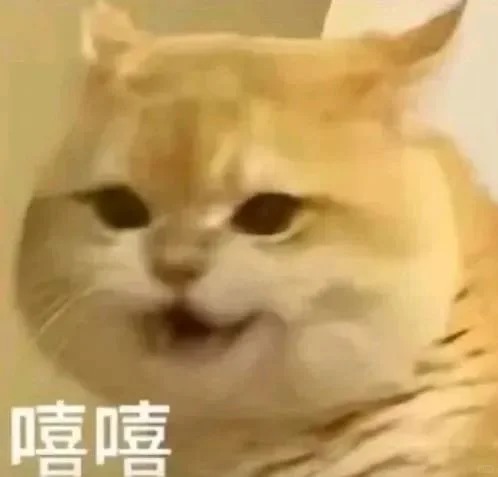 嘻嘻表情包大全动图GIF