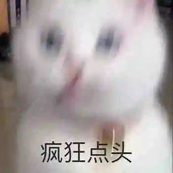 嗯嗯表情包