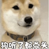 赞同表情符号动图