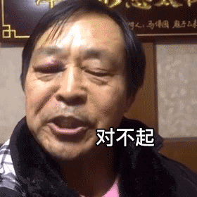 对不起表情包动图