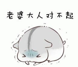 对不起表情包大全动图