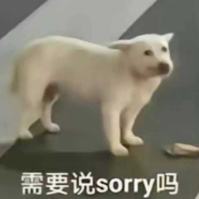 对不起表情包大全sorry