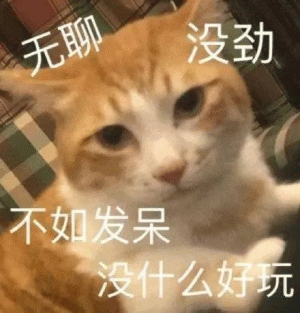 发呆图片下载