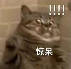 呆住搞笑表情包