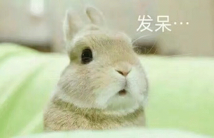 呆住QQ表情