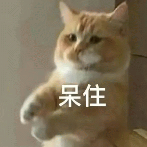 发呆动图GIF表情