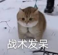 呆表情图片下载