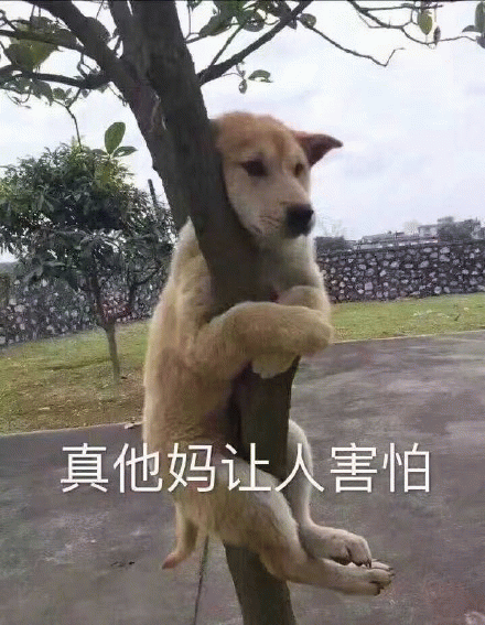 好可怕表情包