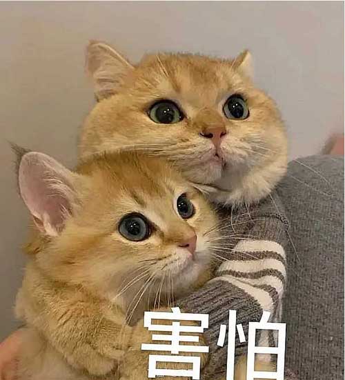 怕怕表情图片下载