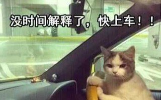 没时间解释了快上车表情包