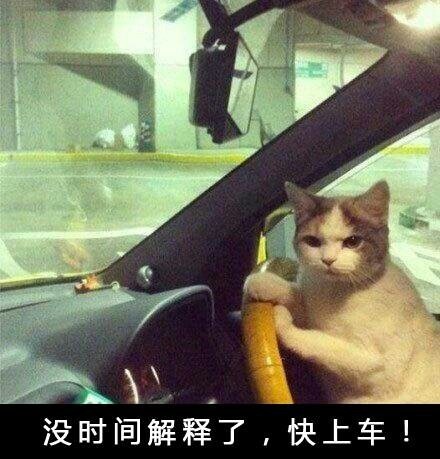 解释表情符号动图GIF