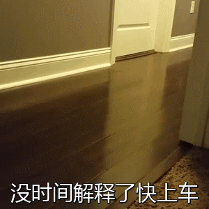 explain表情图片