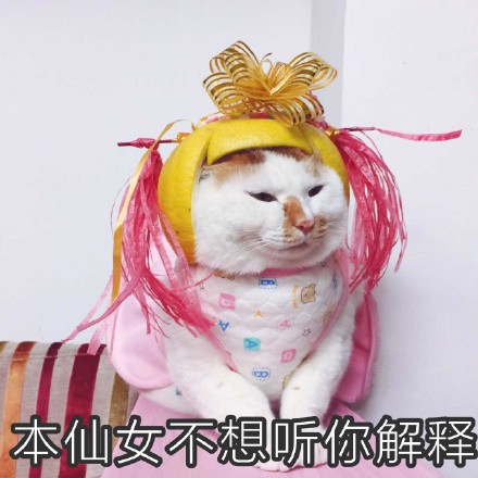 解释微信表情