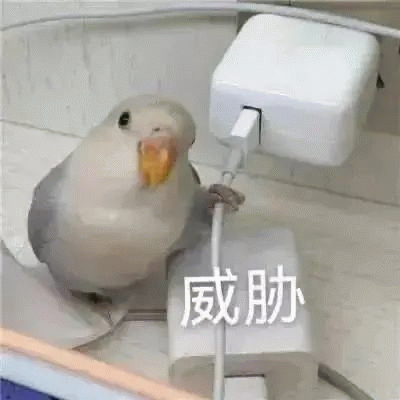 警告你表情图片下载