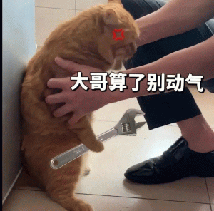 欠揍表情符号动图GIF