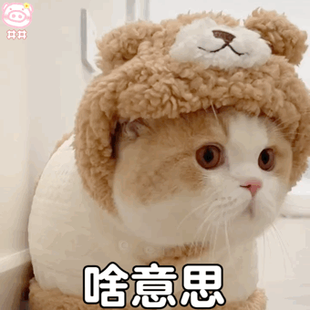 问号表情包