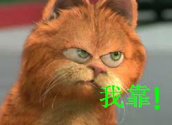 wokao表情图片下载