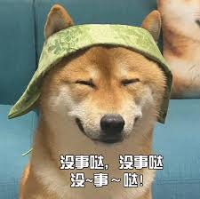 我没事表情包