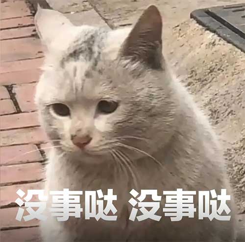 没事表情