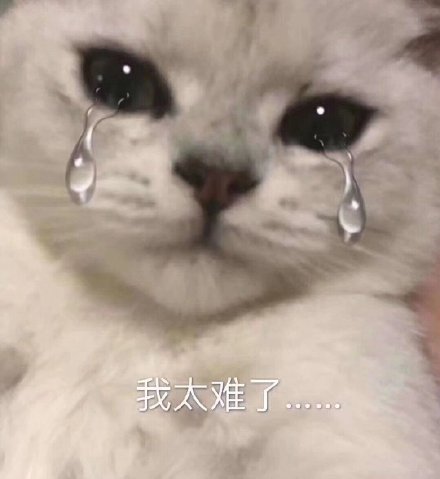 我太难了表情包