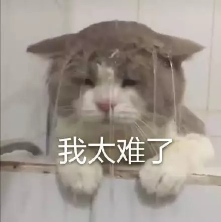 我太难了微信表情大全