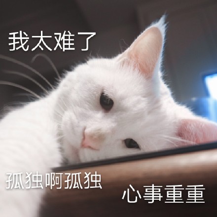 我太难了表情符号动图GIF