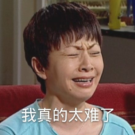 我太难了表情包