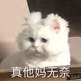 摊手无奈微信表情包