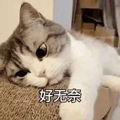 好无奈表情符号动图GIF