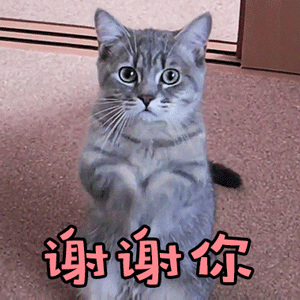 谢谢你表情包