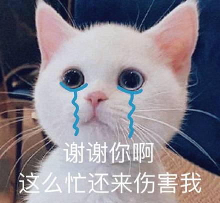 谢谢你好表情包下载