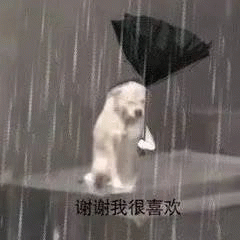 谢谢表情包大全图片