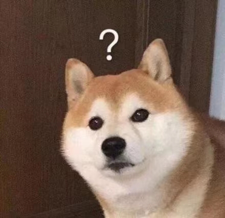 狗狗问号脸微信表情