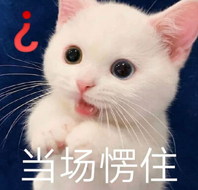 问号脸疑问微信表情包