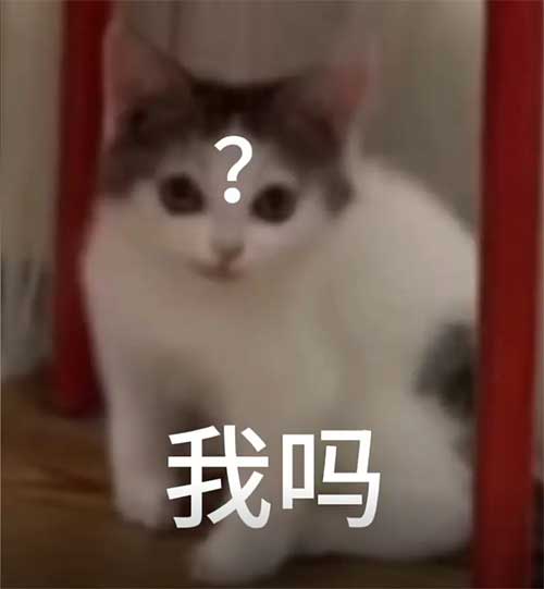 我吗问号脸表情图片下载