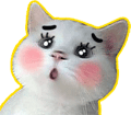 猫咪脸红表情包