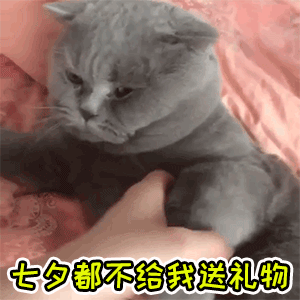 七夕节礼物微信表情大全