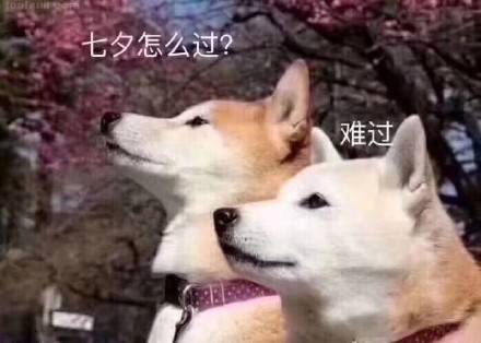 七夕怎么过 难过 表情包