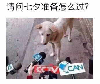 七夕怎么过表情包