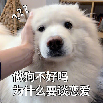 七夕过节恶搞表情图片下载