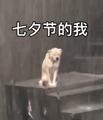 七夕节的我怎么过表情包