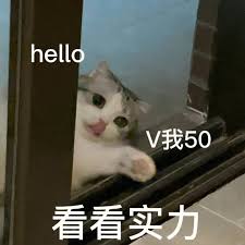 v我50看看实力表情包