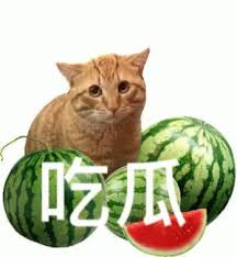 吃瓜表情图下载