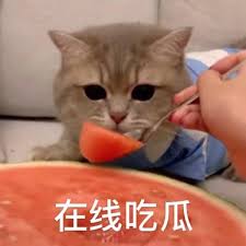 在线吃瓜表情包
