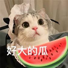 吃瓜看戏表情包