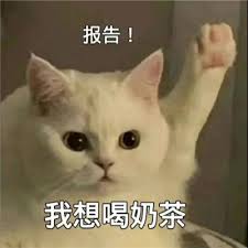 报告 我想喝奶茶表情